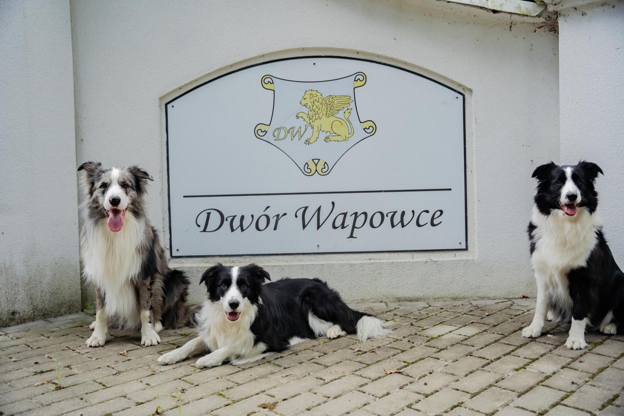 Dwor Wapowce Hotel Eksteriør billede